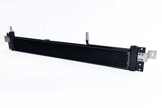 CSF8102.jpg