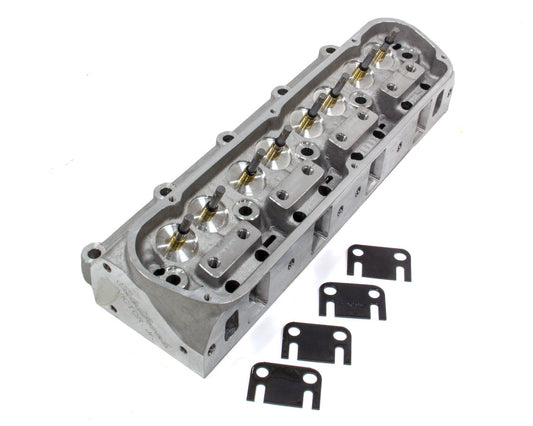 EDE77179.jpg