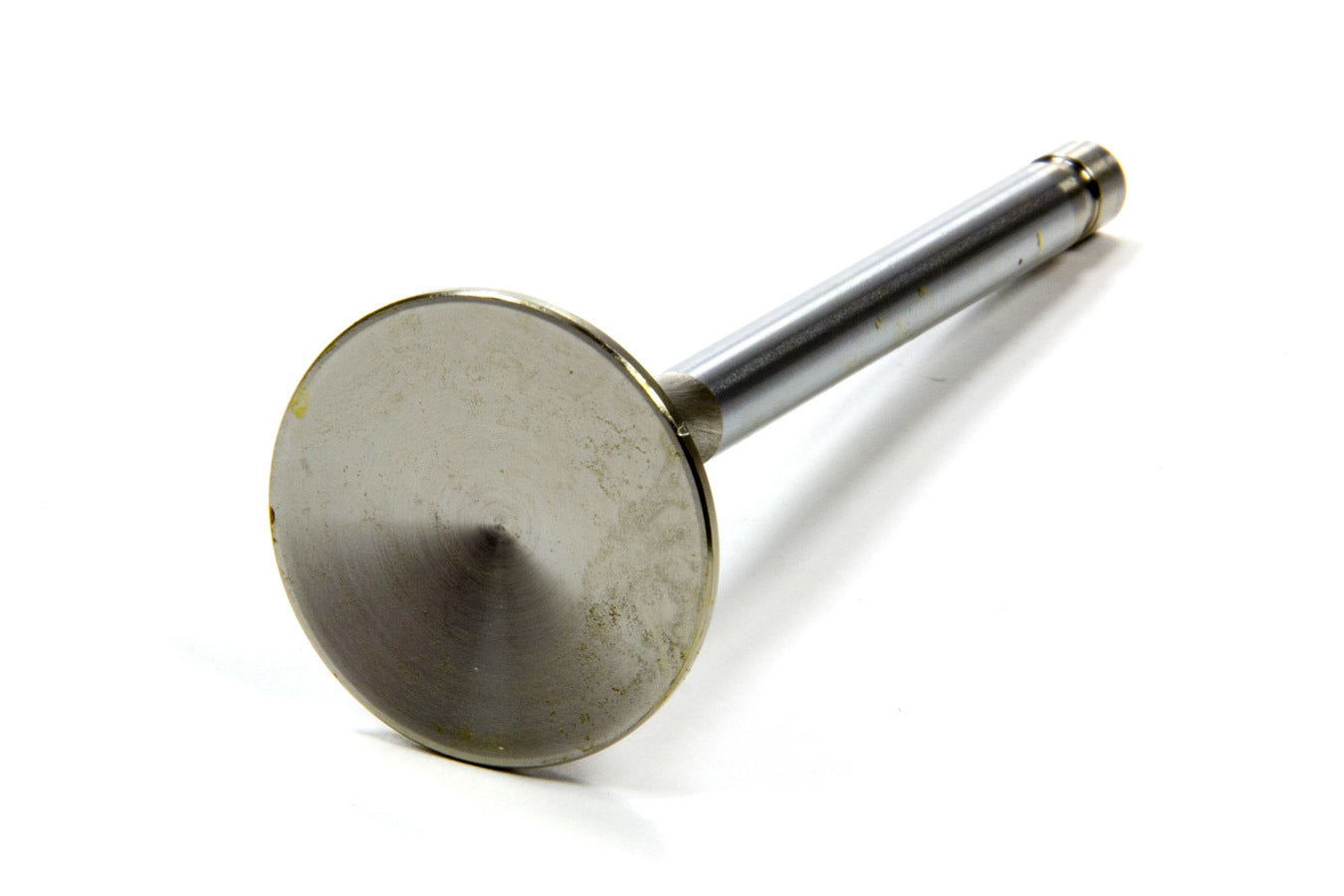 EDE9786.jpg