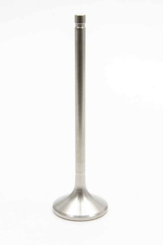 MAN11921-1.jpg