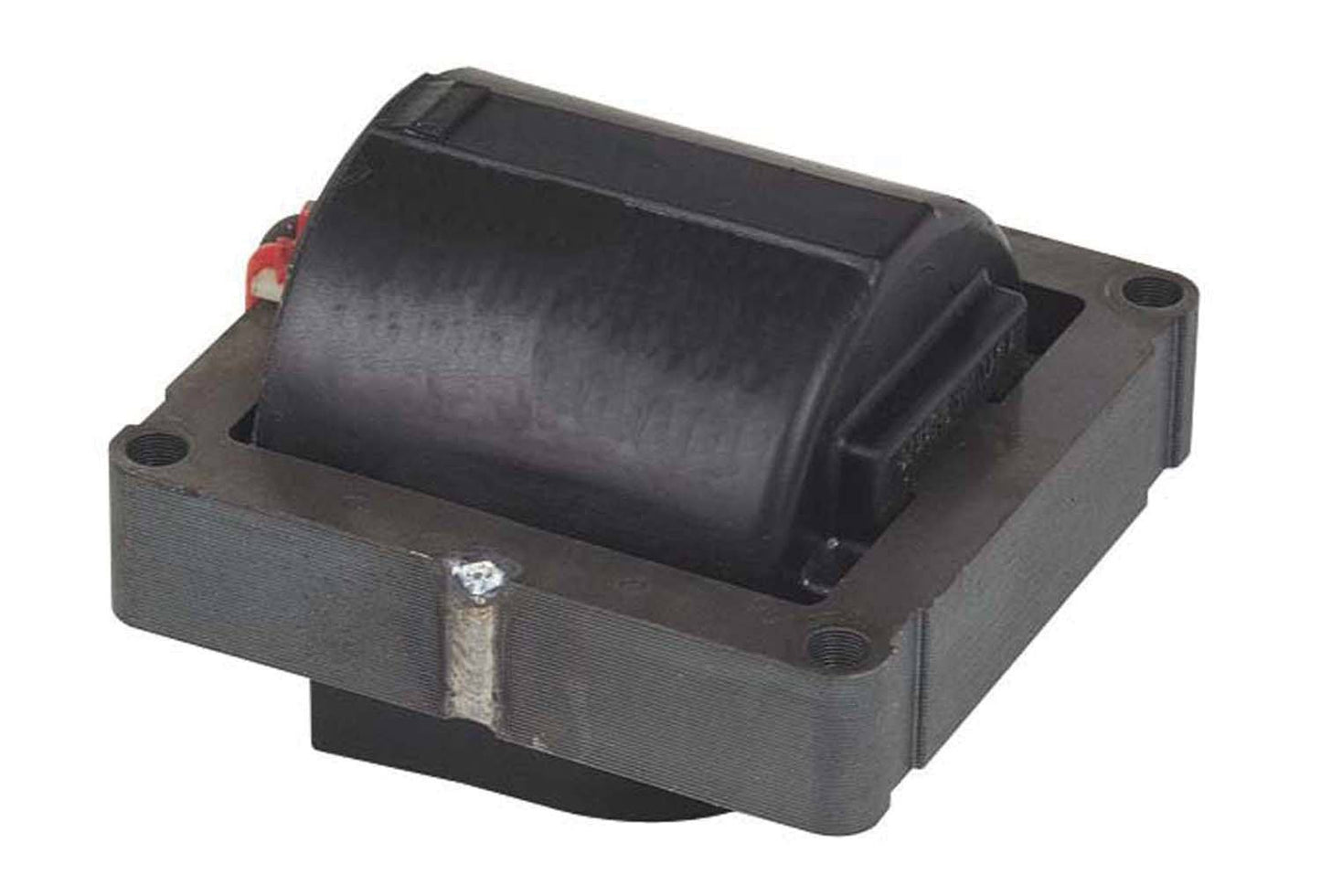 MSD5525.jpg