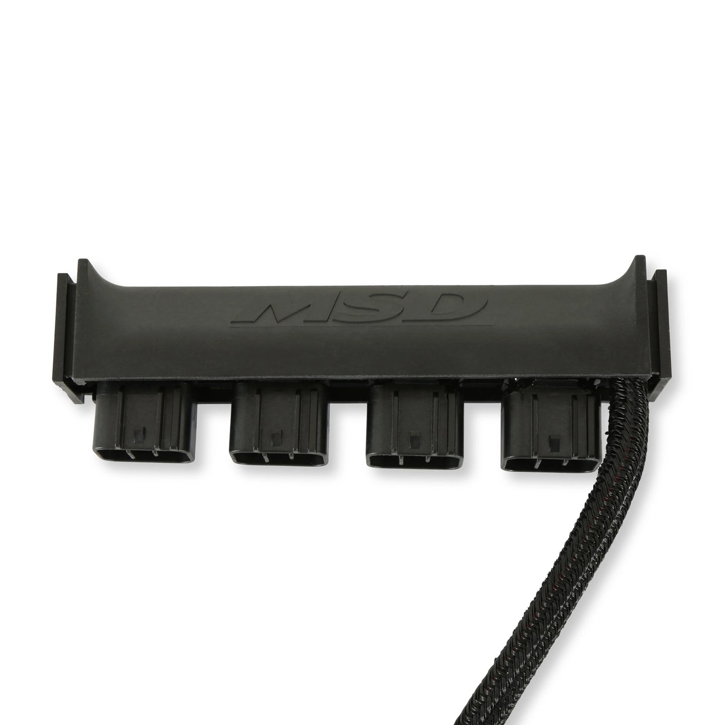 MSD77403.jpg
