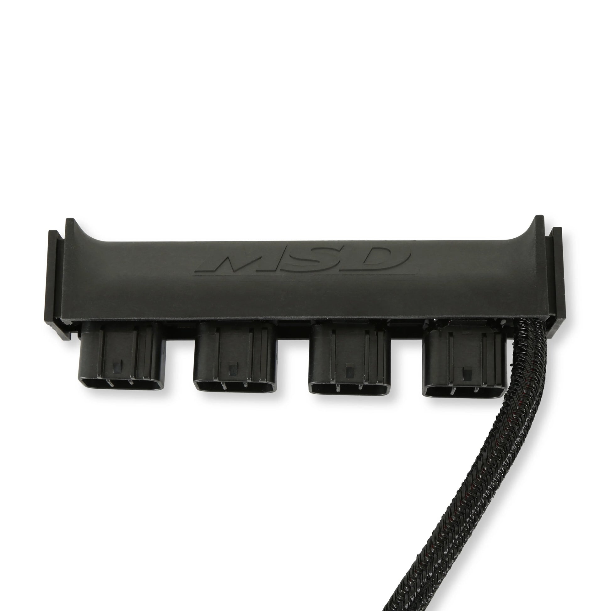 MSD77403.jpg