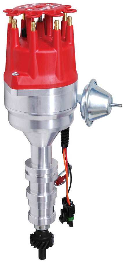MSD8383.jpg