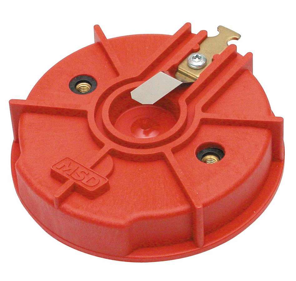 MSD8457.jpg