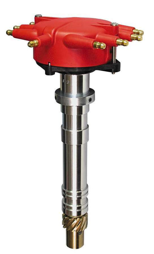 MSD8489.jpg