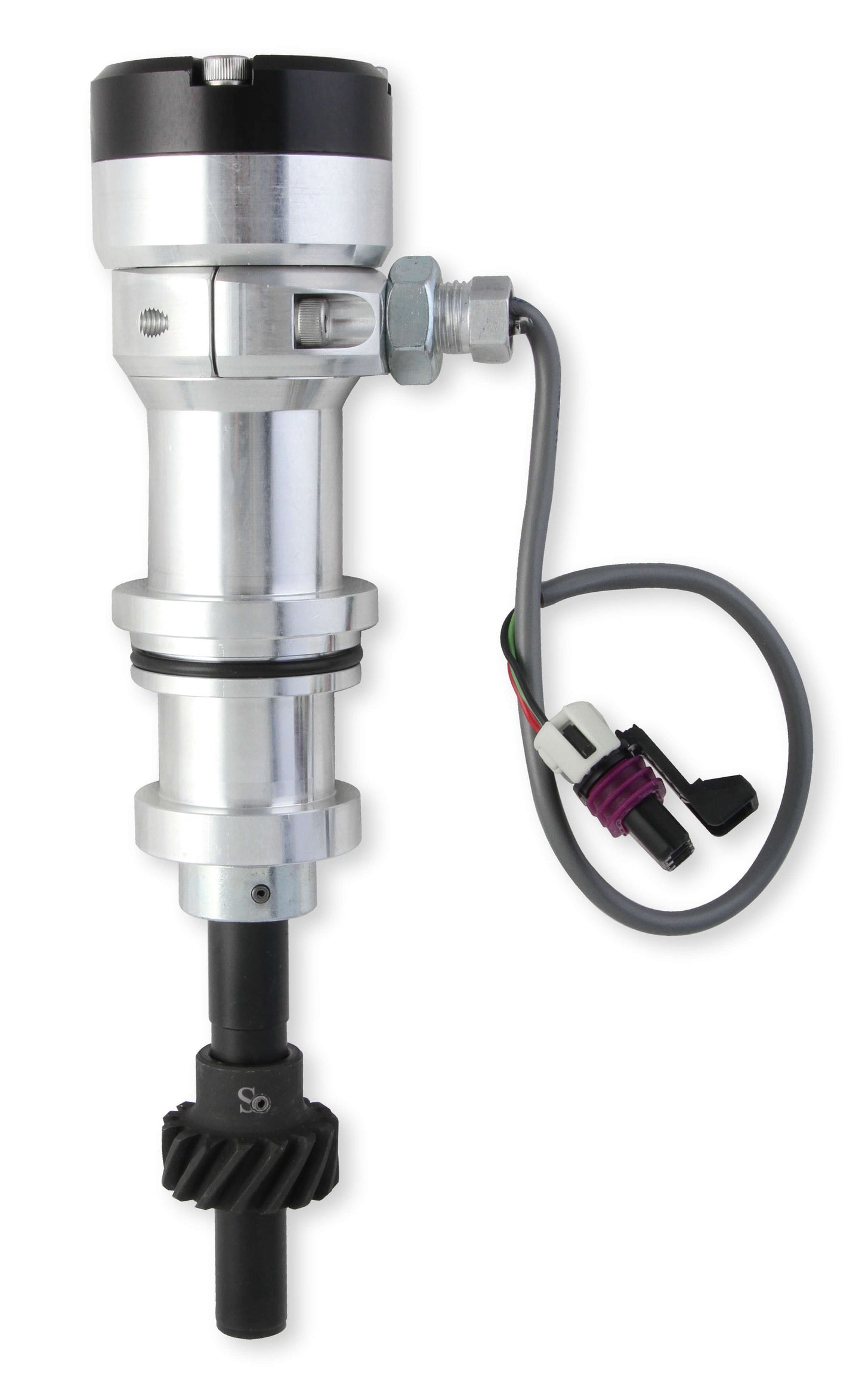 MSD85061.jpg