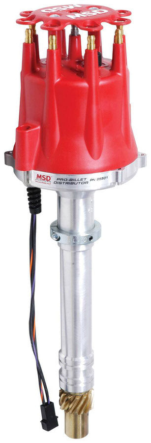 MSD85501.jpg
