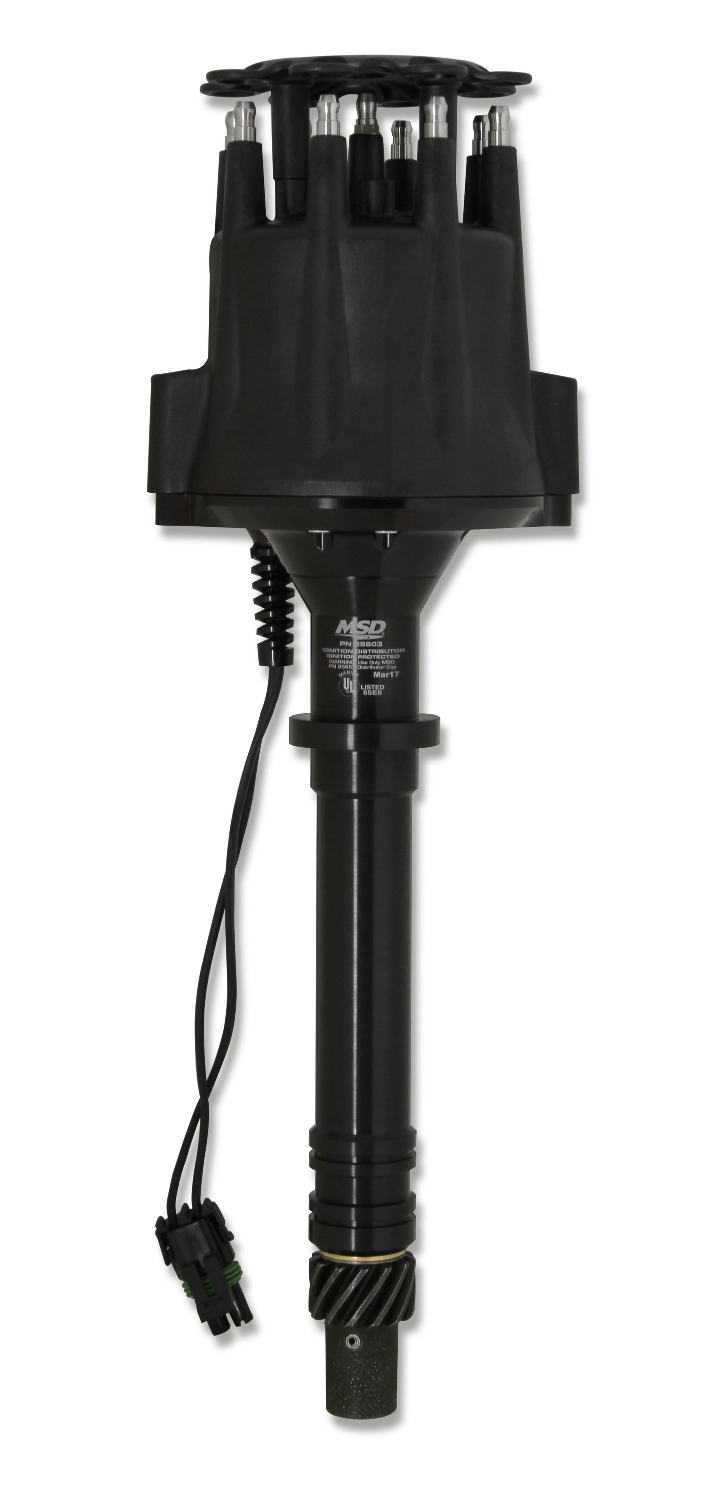 MSD85603.jpg