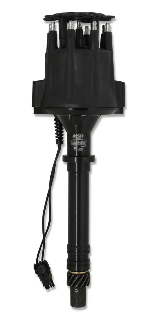 MSD85603.jpg