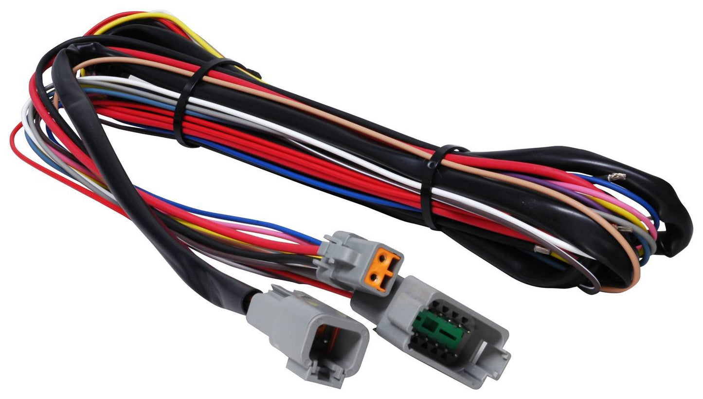 MSD8855.jpg