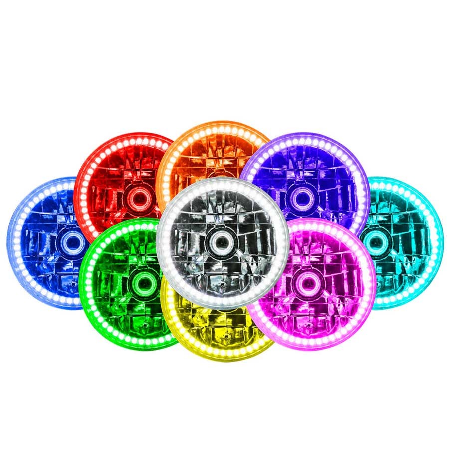 ORA6904-333.jpg