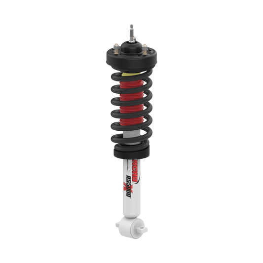 RANRS551836L.jpg