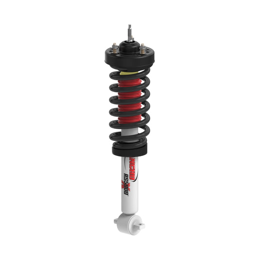 RANRS551836R.jpg