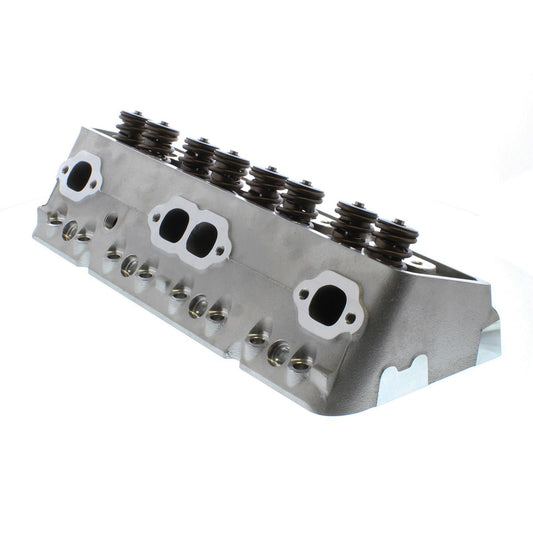 TRFTFS-30210003.jpg
