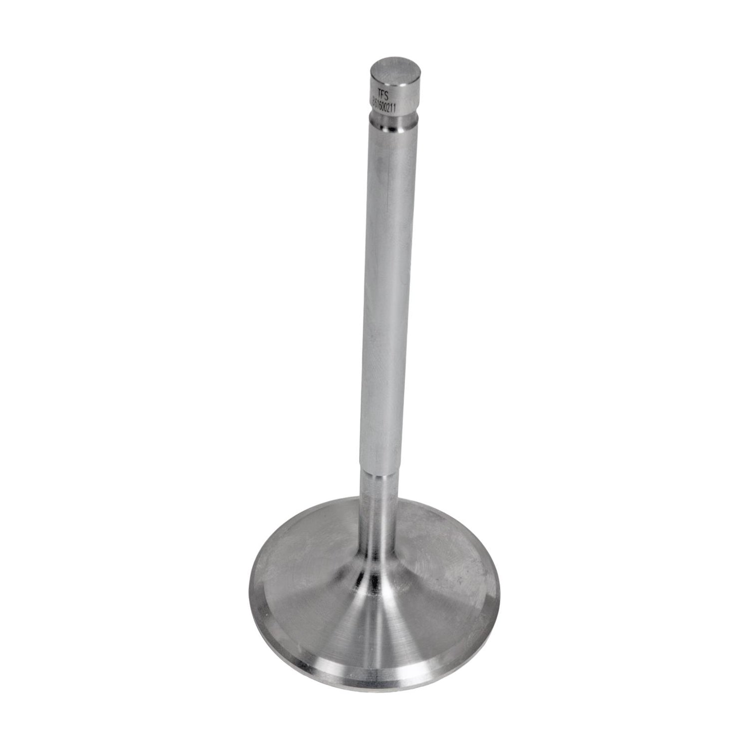 TRFTFS-61600211-1.jpg