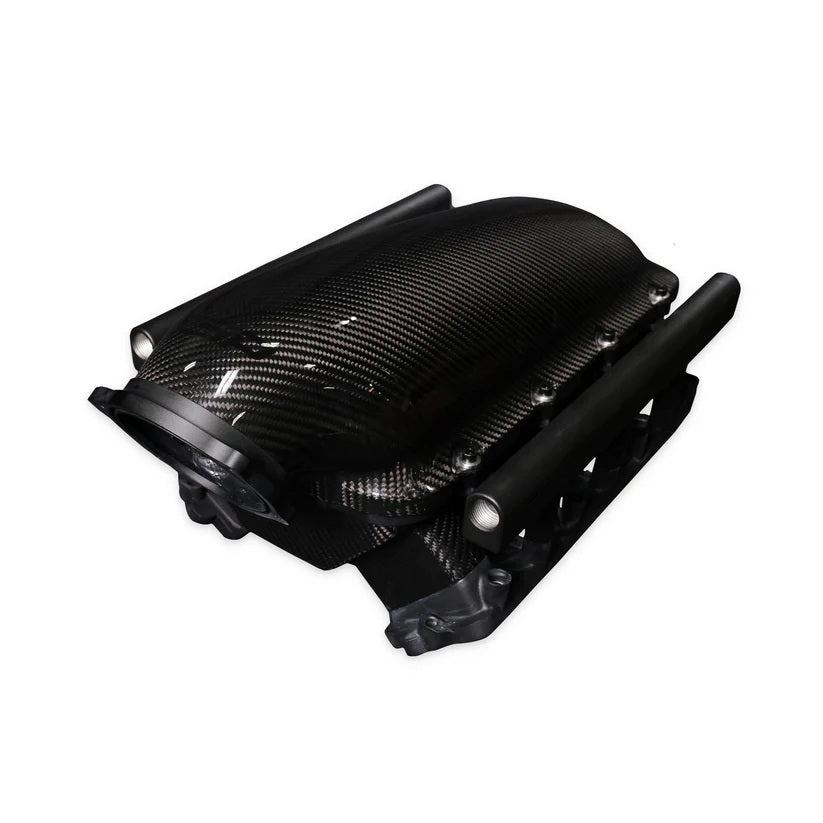 TSP81631.jpg